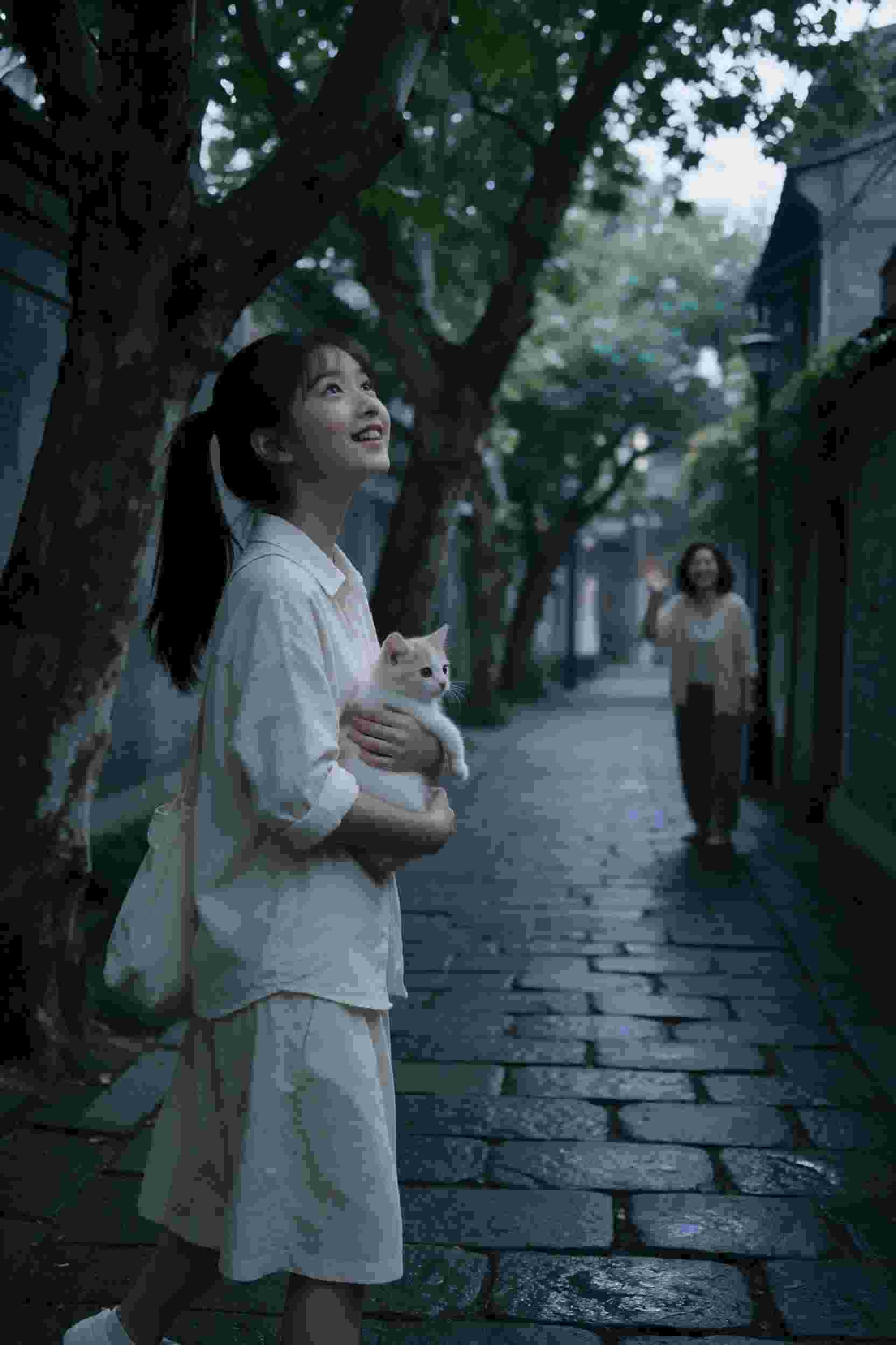 七龙珠